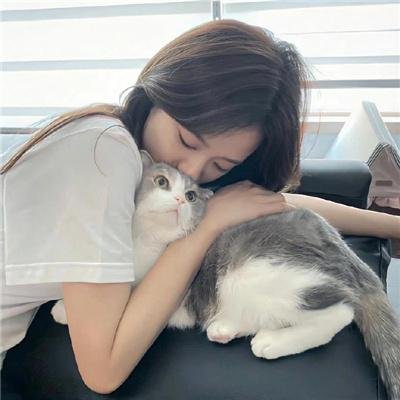 好莱坞重案组