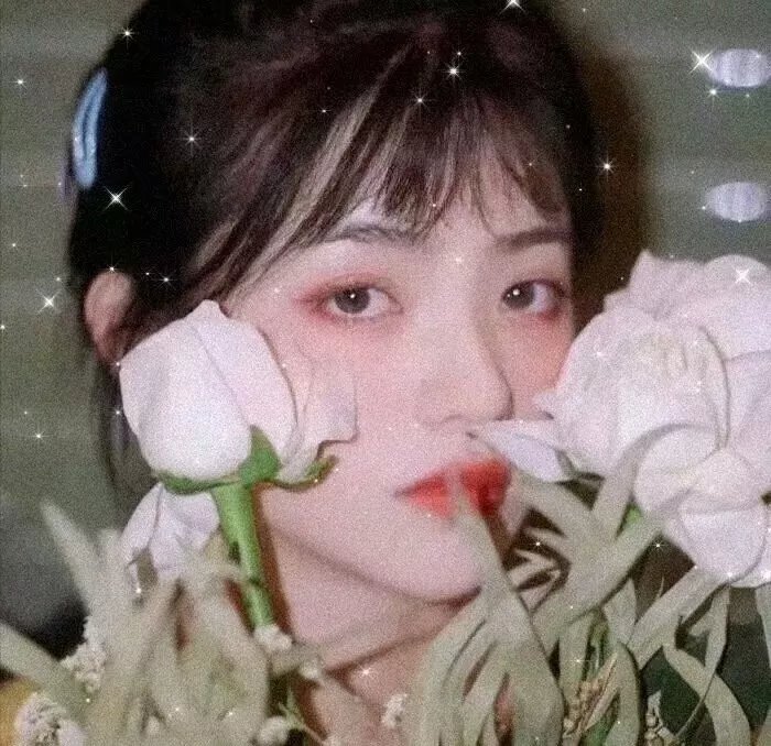 当樱花盛开